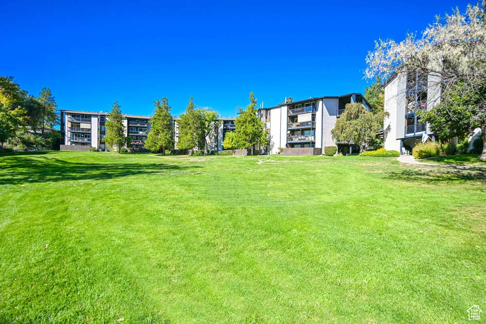View of grassy yard