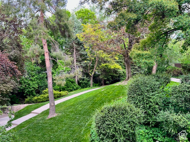 Surrounding community with a yard