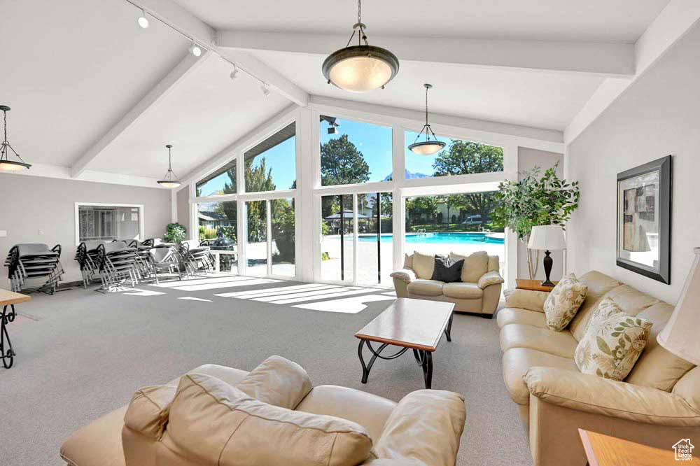 Living room featuring track lighting and carpet flooring
