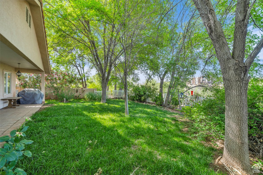 View of yard featuring a patio