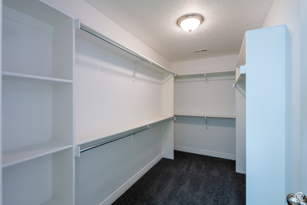 Spacious closet with dark carpet