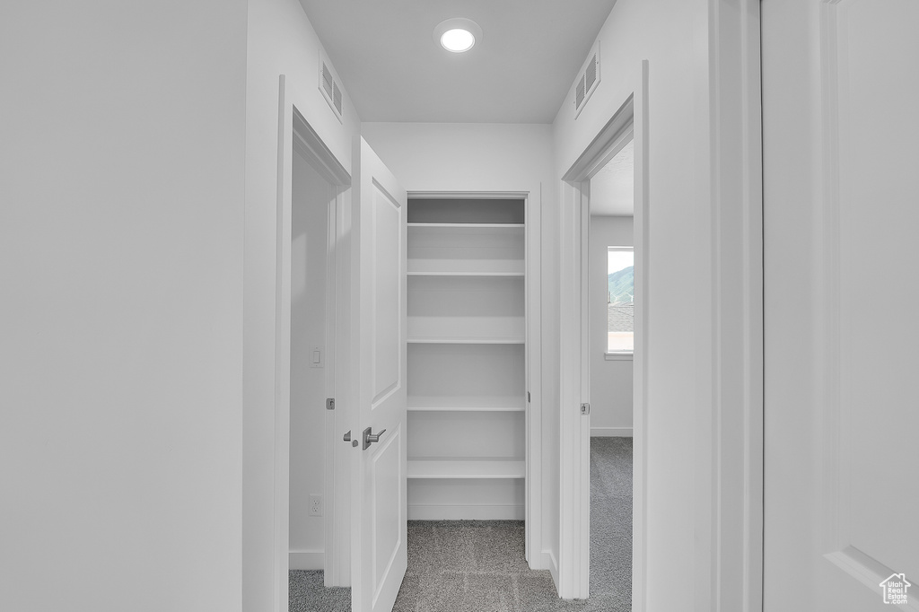 Spacious closet with carpet flooring