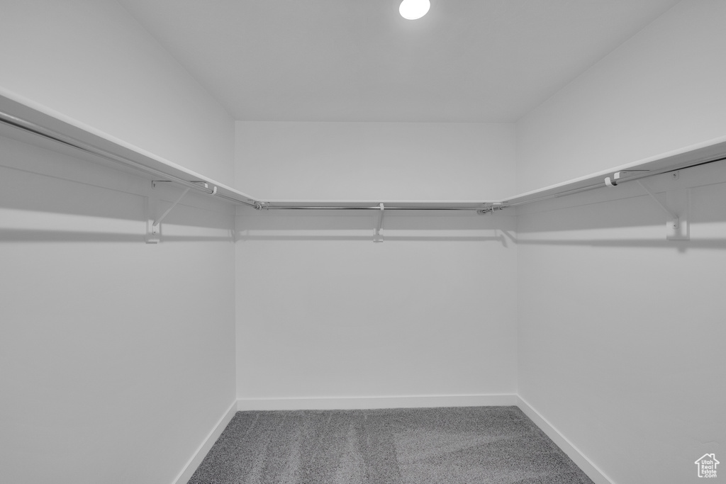 Spacious closet with carpet