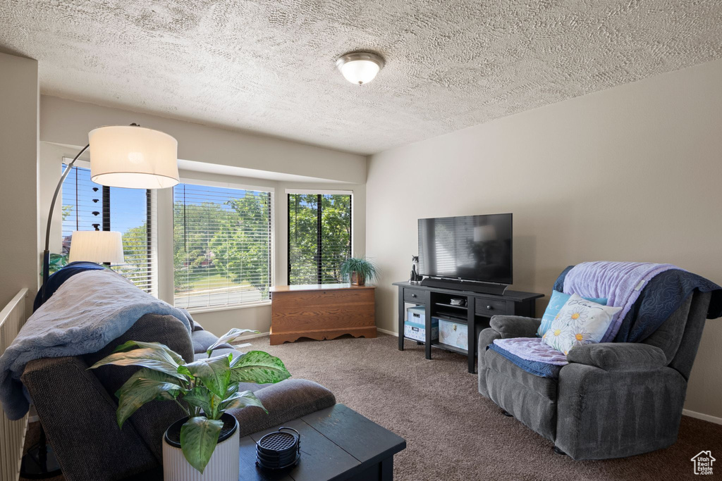 Living area with carpet flooring, a textured ceiling, and baseboards