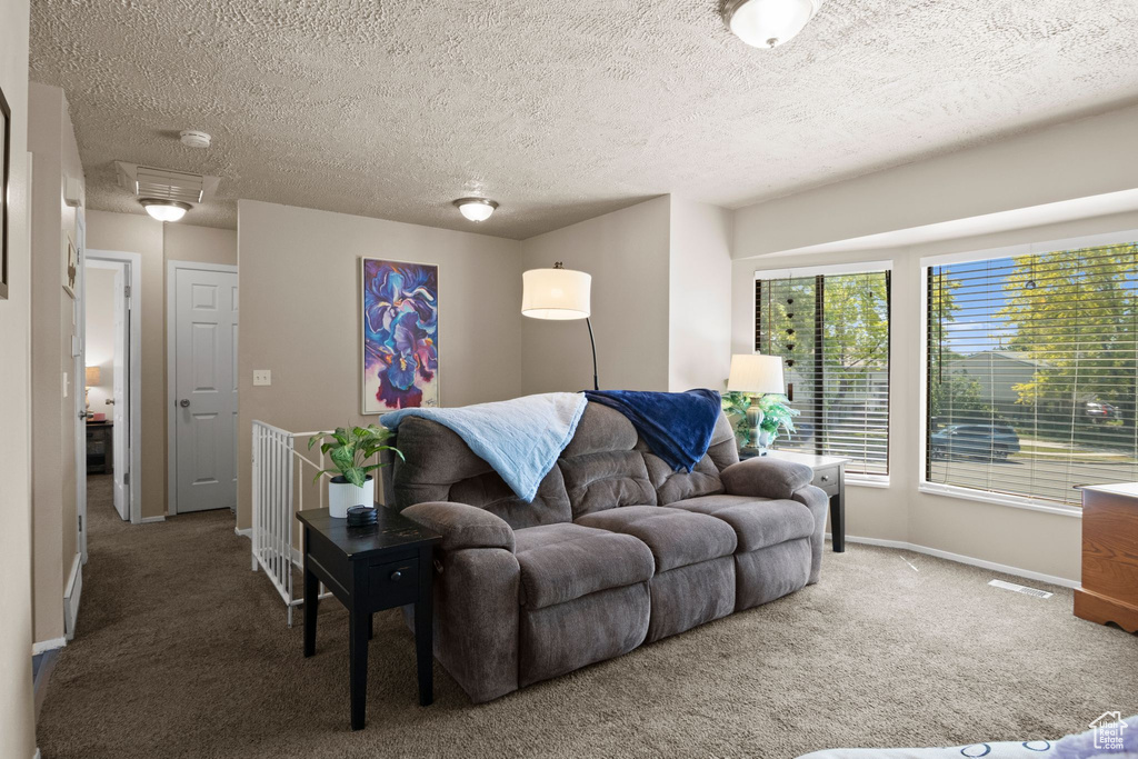 Living room featuring carpet, baseboards, and a textured ceiling