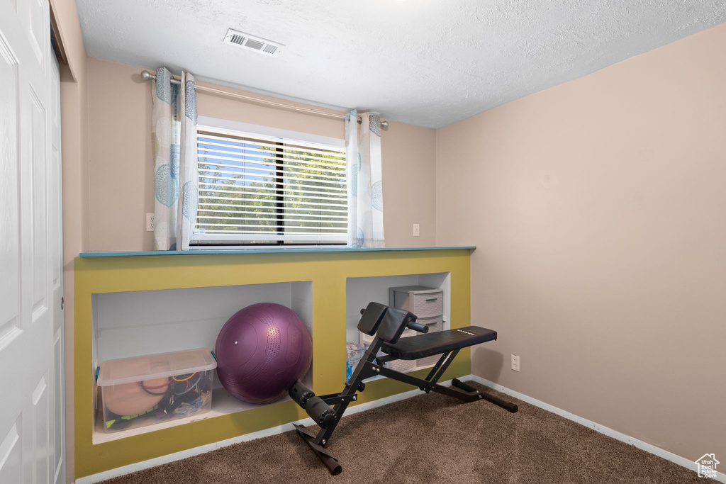 Workout area with carpet, baseboards, and a textured ceiling