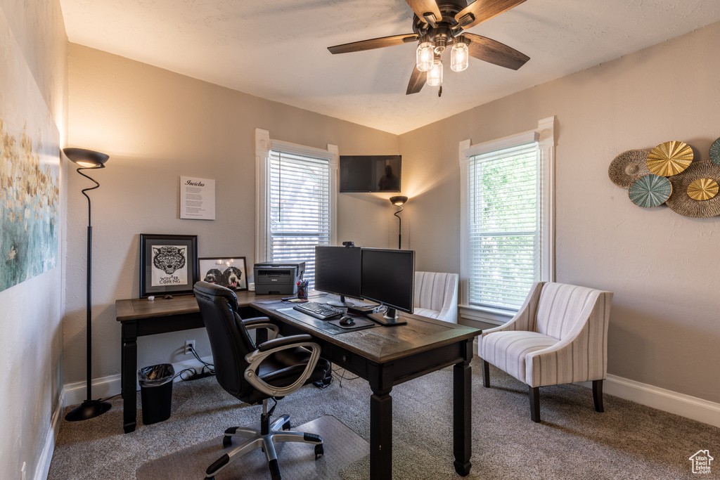 Office area featuring carpet, plenty of natural light, and baseboards