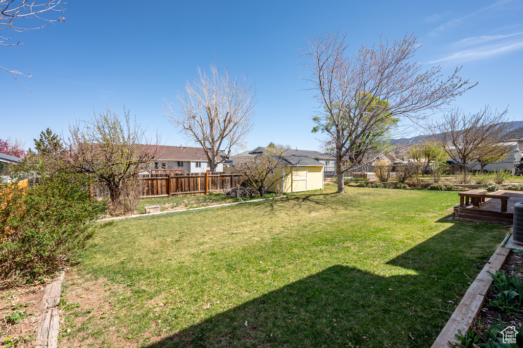 View of yard