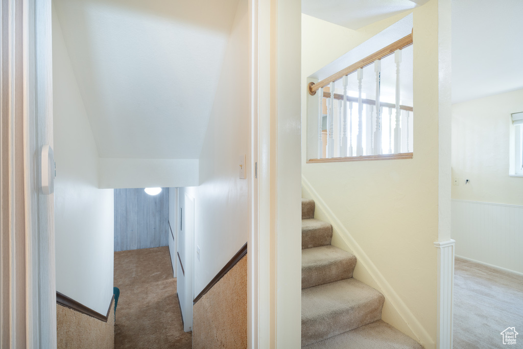 Stairway featuring carpet flooring