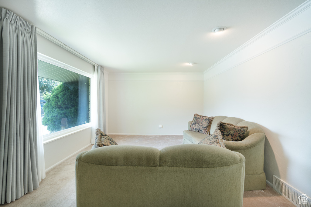 Living room with light colored carpet, ornamental molding, and baseboards
