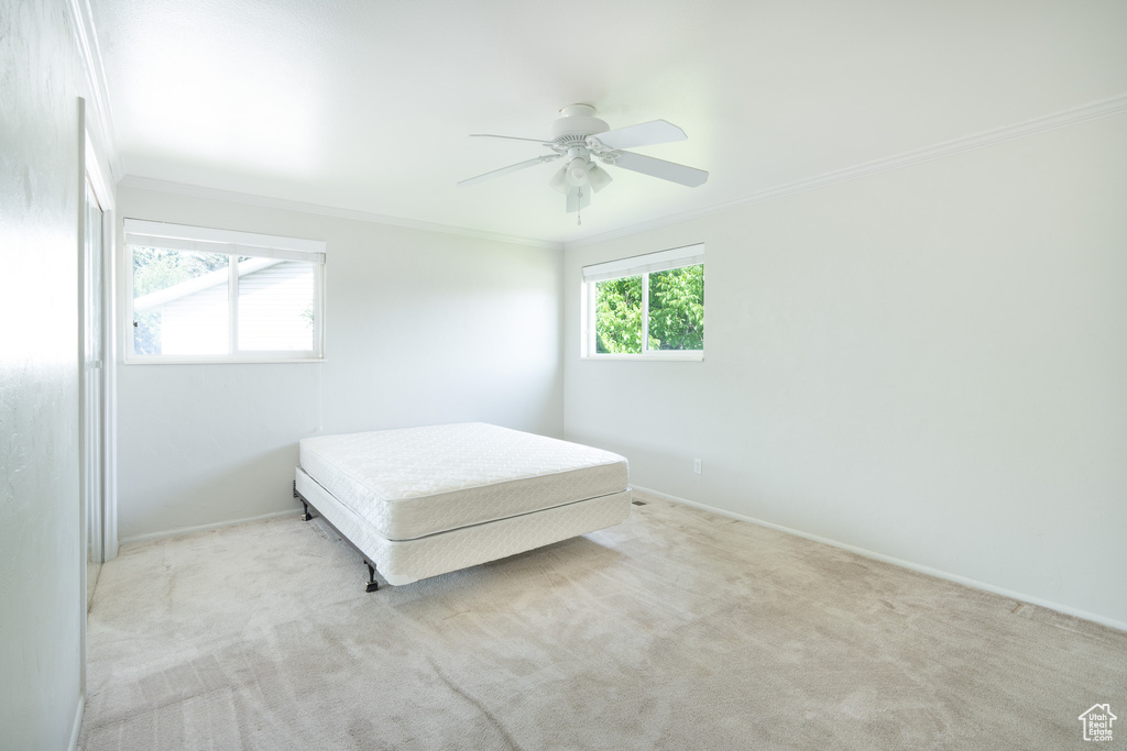 Carpeted bedroom with ornamental molding, baseboards, and ceiling fan