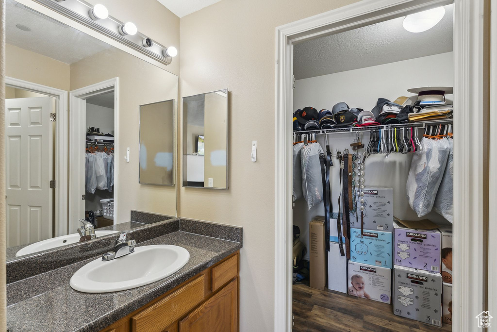 Bathroom featuring vanity, a walk in closet, and wood finished floors