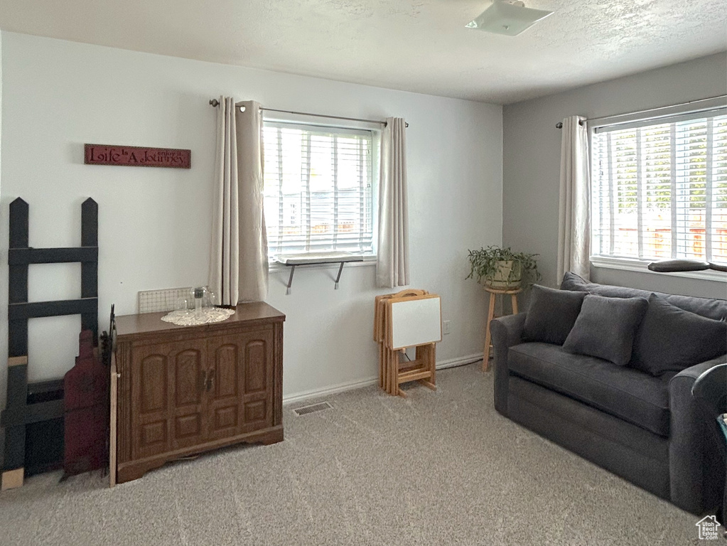 Living room featuring a textured ceiling, plenty of natural light, baseboards, and carpet floors