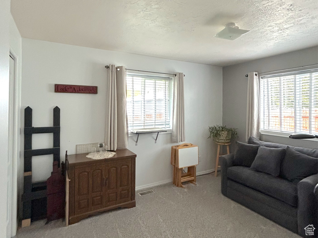 Living room with healthy amount of natural light, a textured ceiling, light carpet, and baseboards