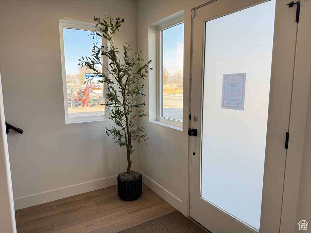 Doorway to outside with light wood finished floors and plenty of natural light