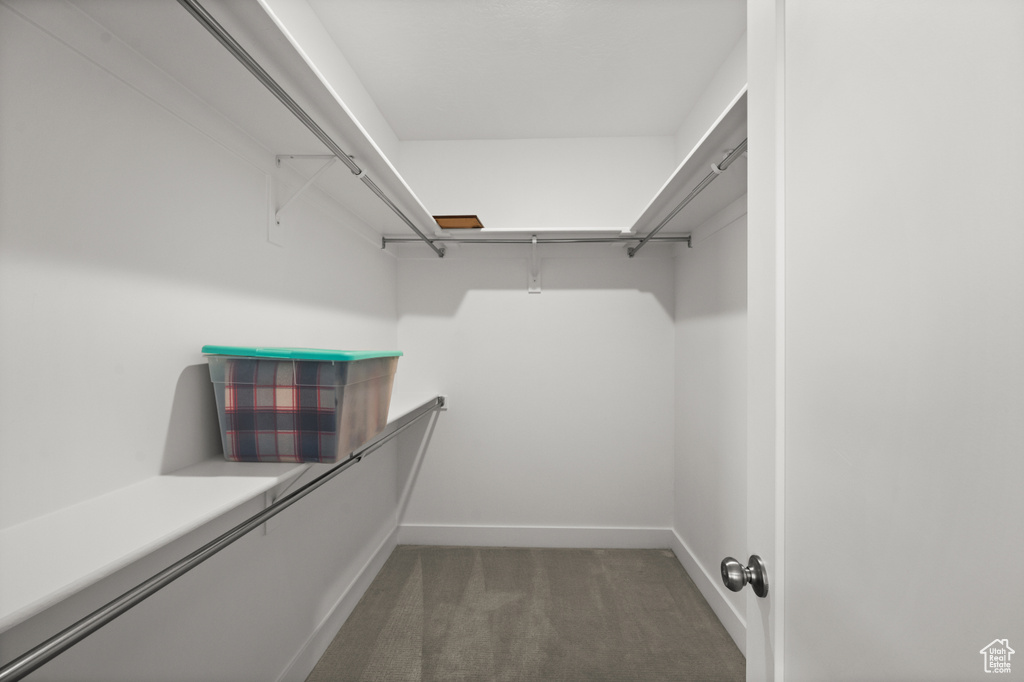 Walk in closet with carpet