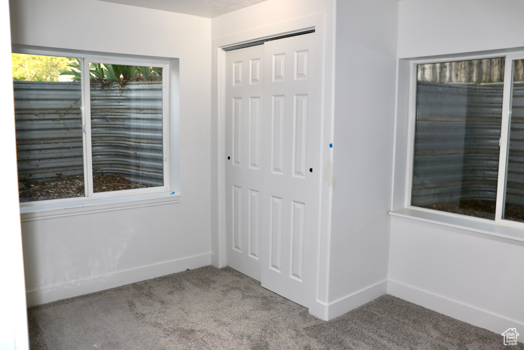Interior space featuring carpet flooring, a closet, and baseboards