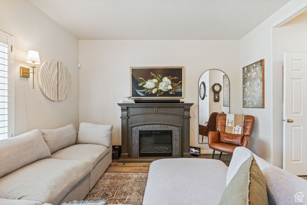 Living room with a glass covered fireplace and wood finished floors