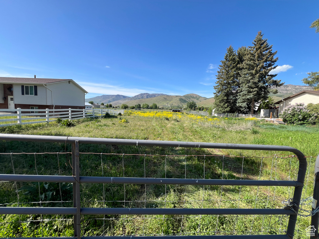 View of yard with a mountain view and a view of rural / pastoral area