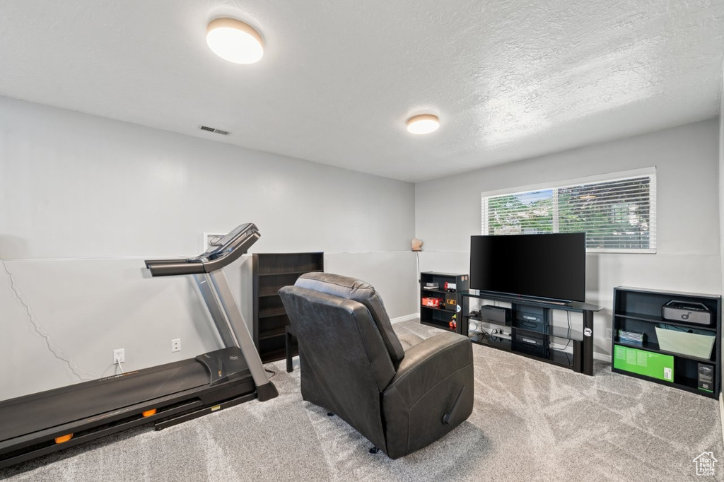 Workout room with carpet, baseboards, and a textured ceiling