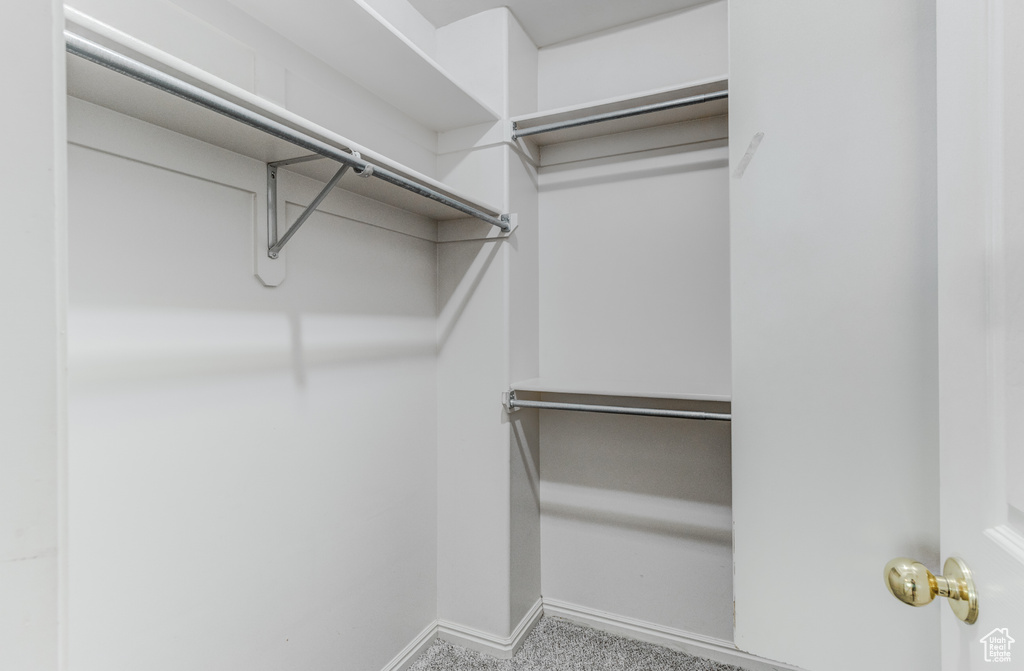 Walk in closet featuring carpet flooring
