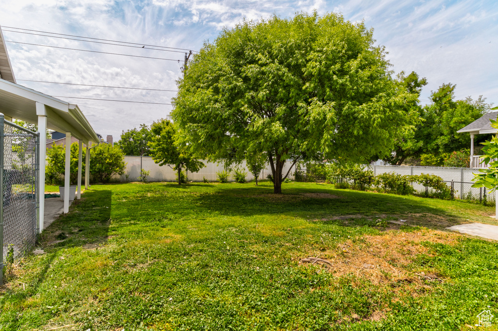 View of yard