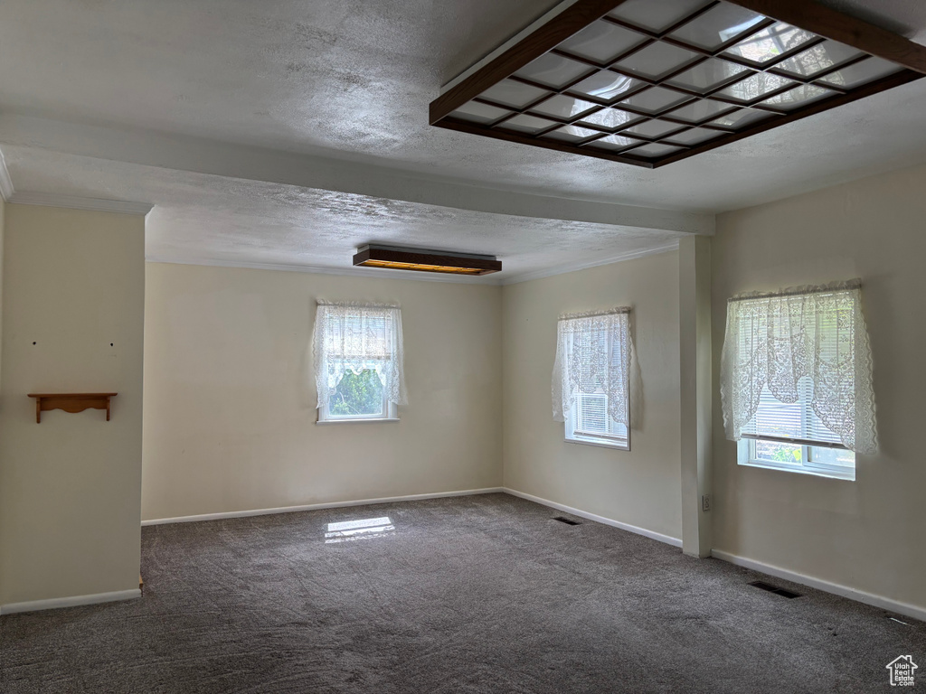 Unfurnished room featuring carpet, baseboards, and crown molding