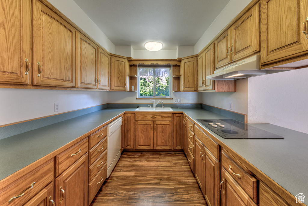 Kitchen featuring black electric stovetop, a sink, white dishwasher, open shelves, and under cabinet range hood