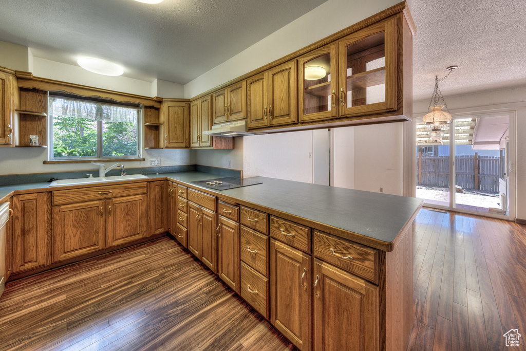 Kitchen featuring a sink, open shelves, a peninsula, and black electric cooktop