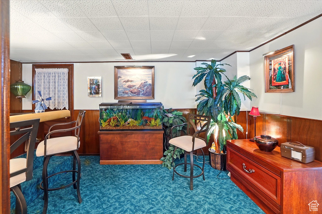 Office featuring a wainscoted wall, carpet, and wooden walls