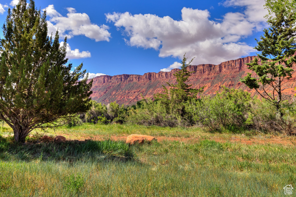 View of mountain background