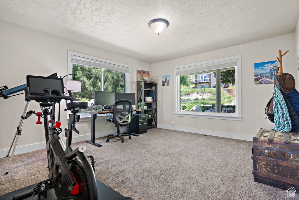 Carpeted home office with a textured ceiling and baseboards