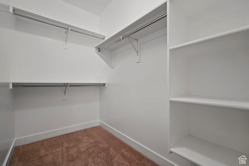 Spacious closet with carpet flooring