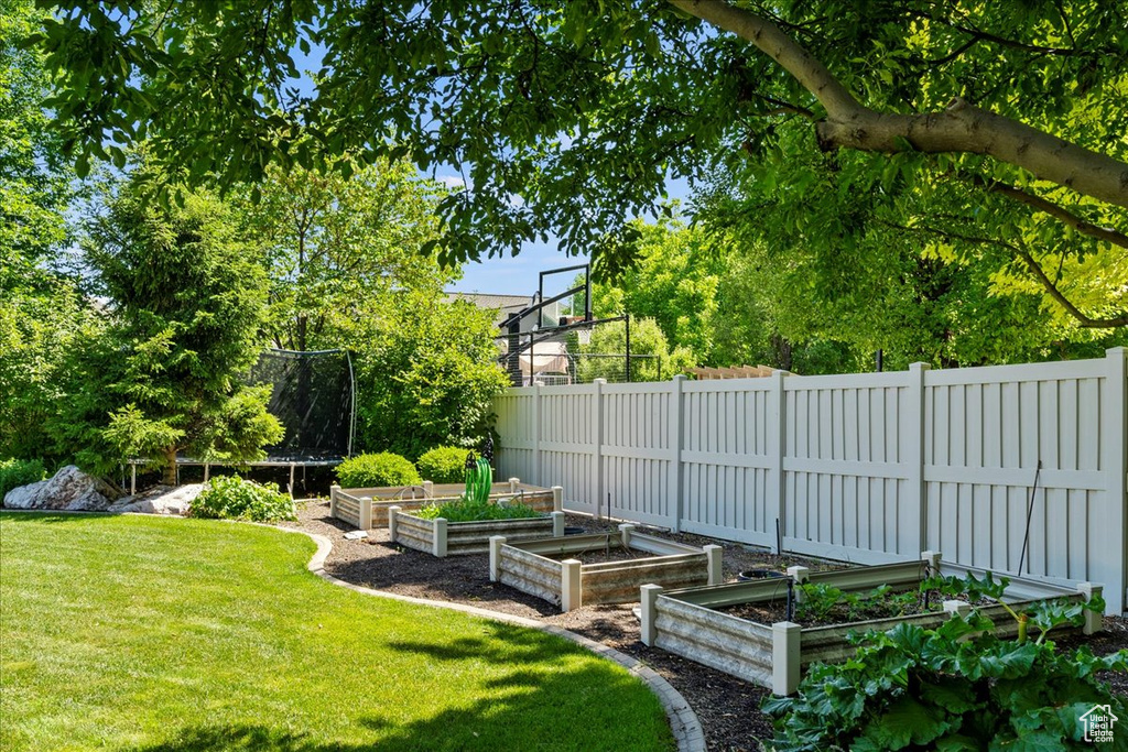 View of yard with a vegetable garden