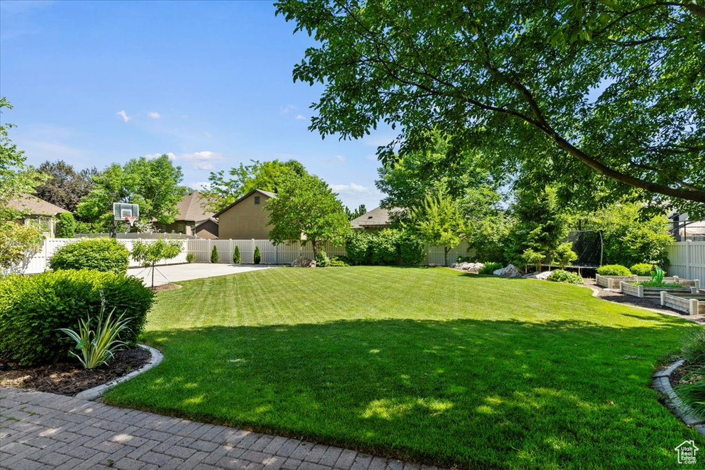 View of yard featuring a garden