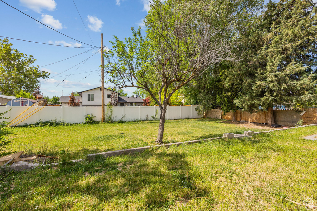 View of yard