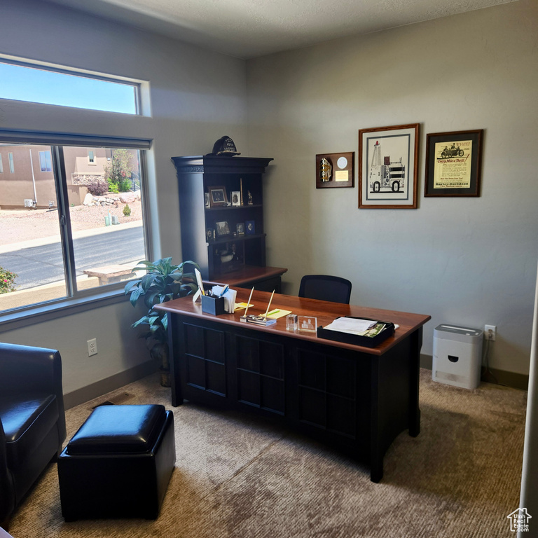 Office space with carpet floors