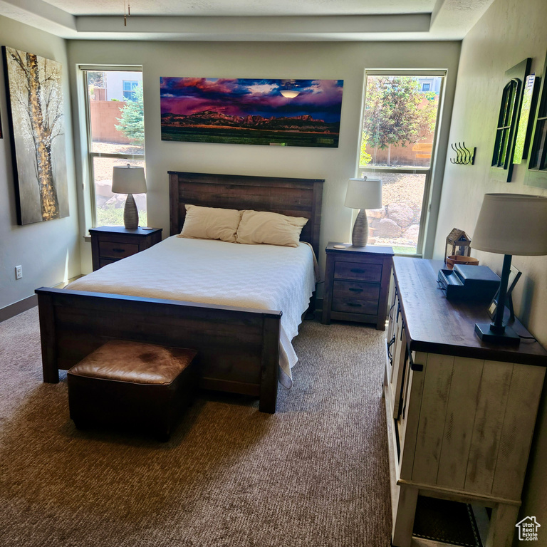 Carpeted bedroom featuring multiple windows, baseboards, and a raised ceiling