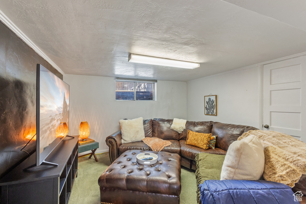 Living area with carpet flooring, ornamental molding, and a textured ceiling