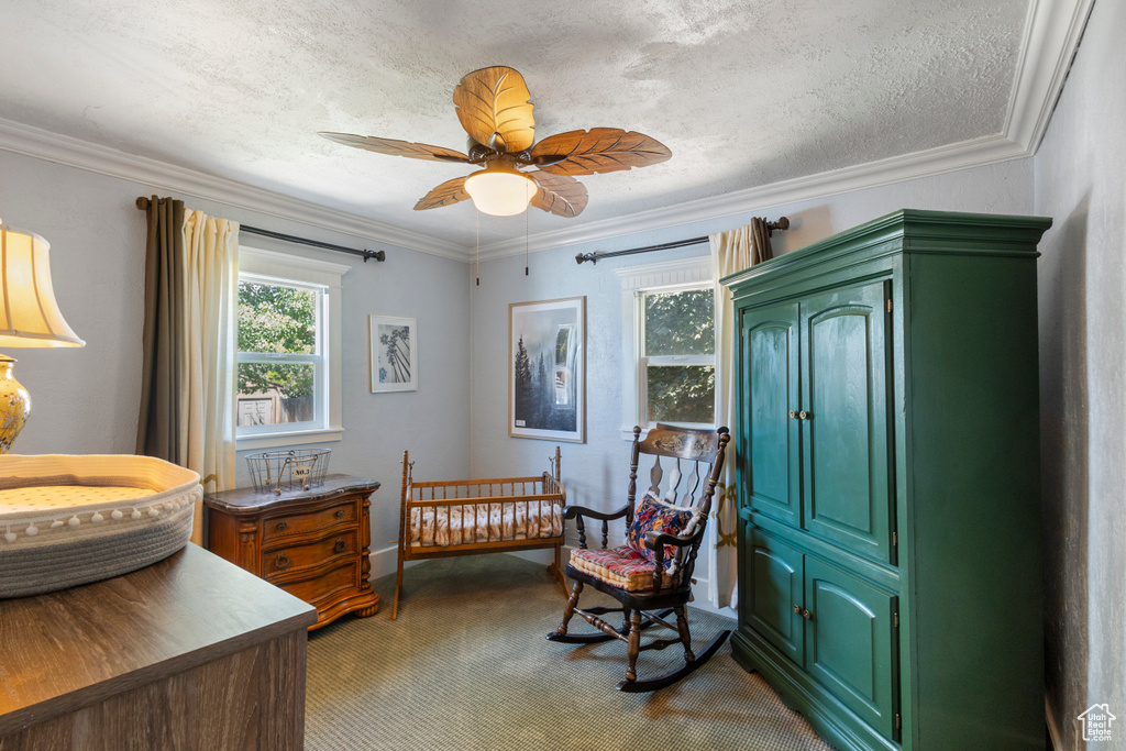 Carpeted bedroom with crown molding, a ceiling fan, and a textured ceiling