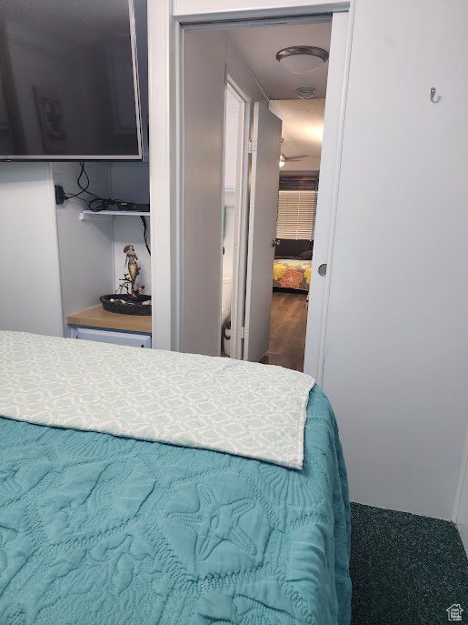 Bedroom featuring carpet