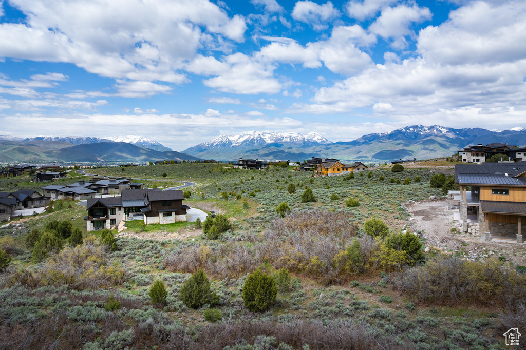 Mountain view