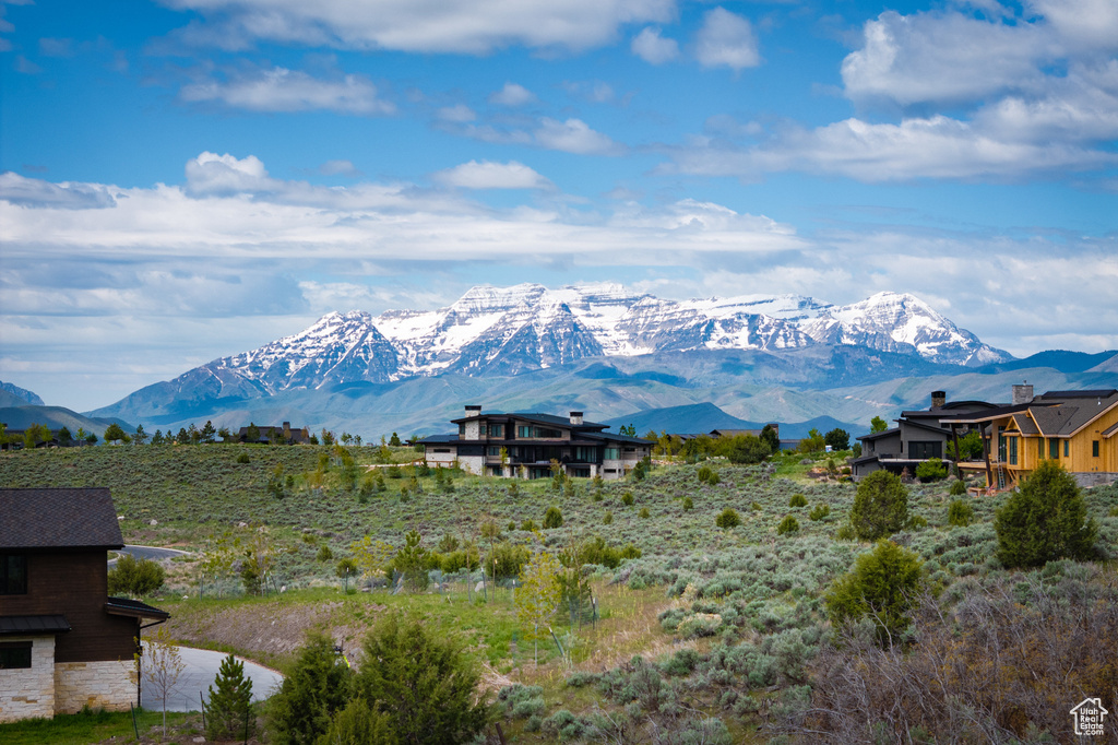 Mountain view