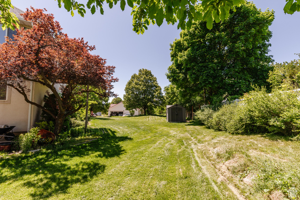 View of green lawn