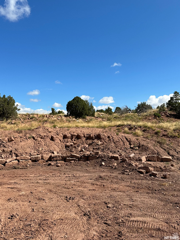 View of undeveloped land