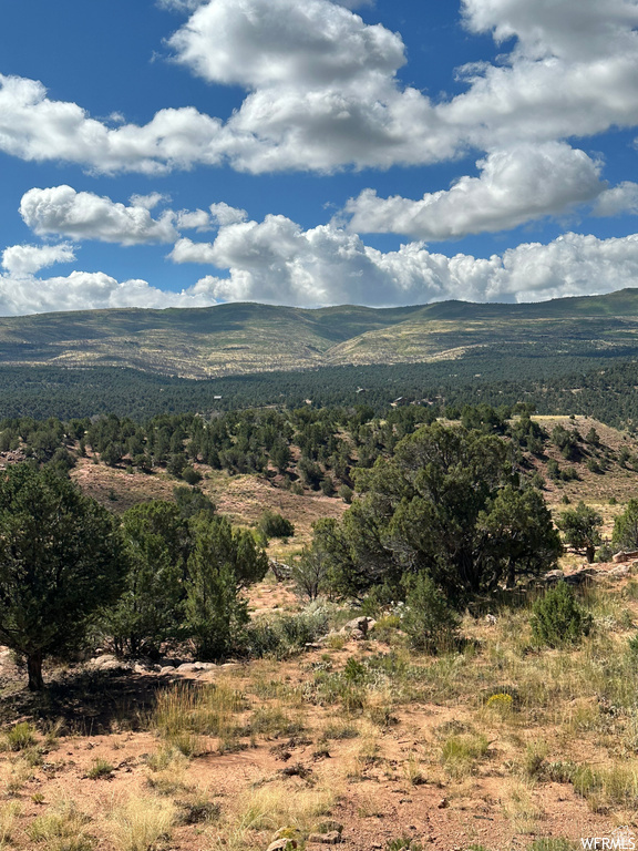 View of mountain background