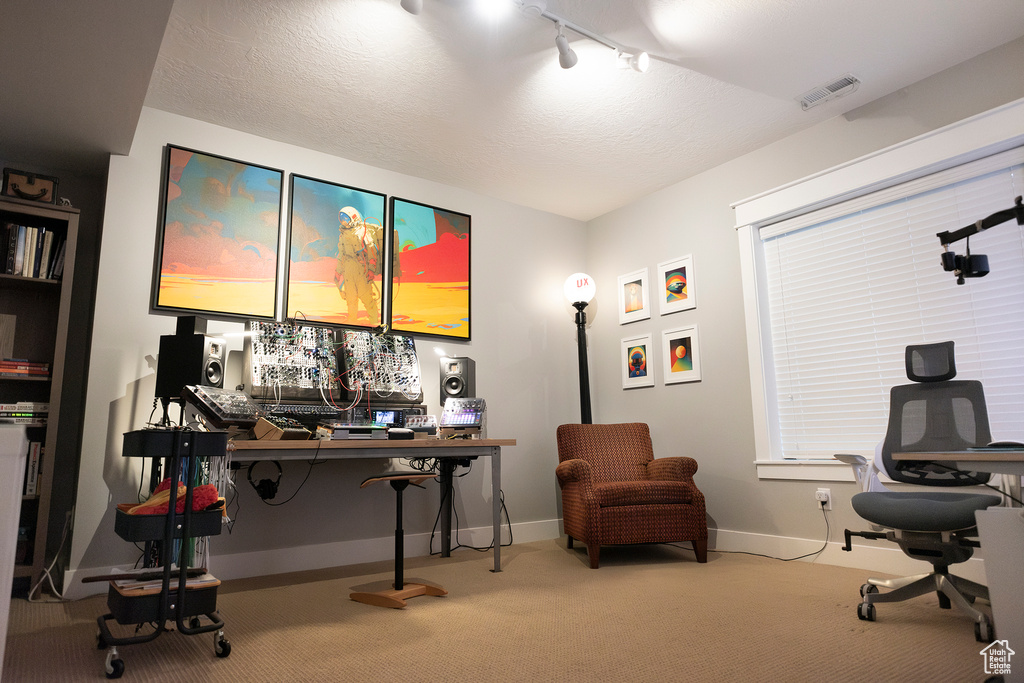Office space featuring carpet, track lighting, and baseboards