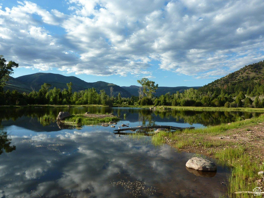 Water view featuring a mountain backdrop and a heavily wooded area