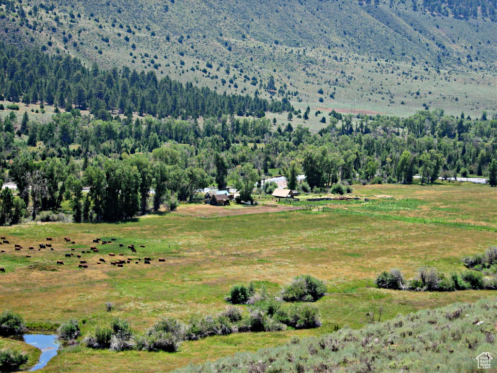 Mountain view featuring rural landscape and a heavily wooded area