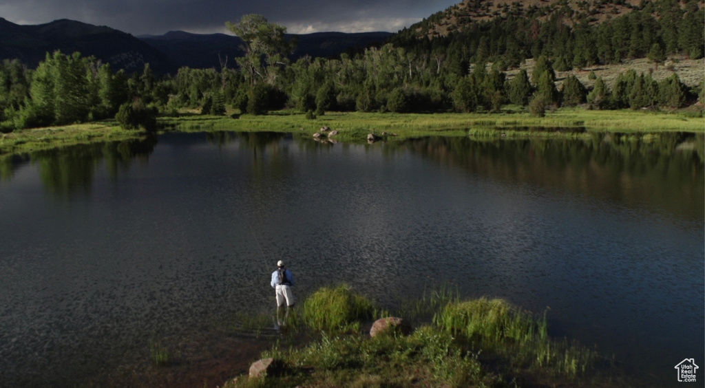 Water view with mountains and a heavily wooded area